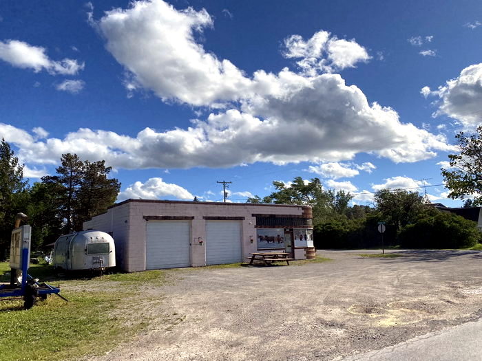 Spruce  - June 17 2022 Photo (newer photo)